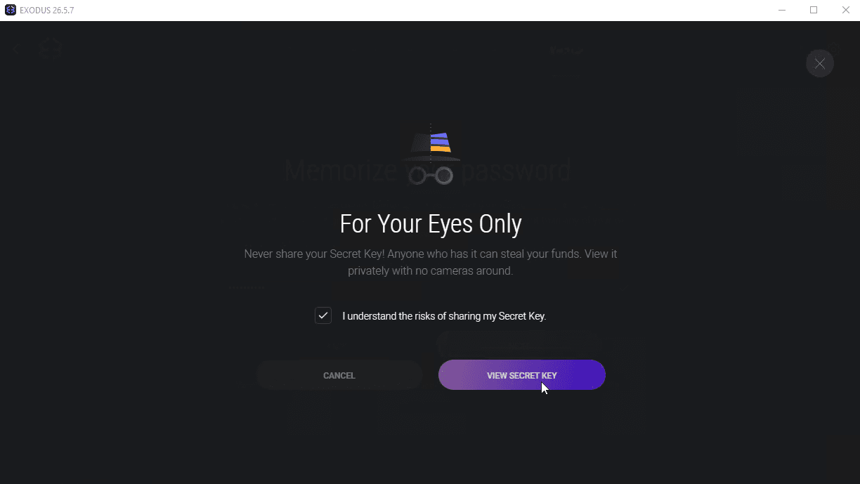 For Your Eyes Only confirmation screen before secret key reveal